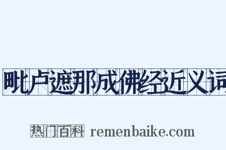 毗卢遮那成佛经近义词是什么意思的图片